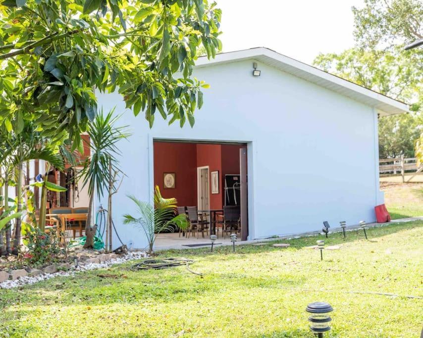 Tampa Bay Oasis Apartment Tarpon Springs Exterior photo